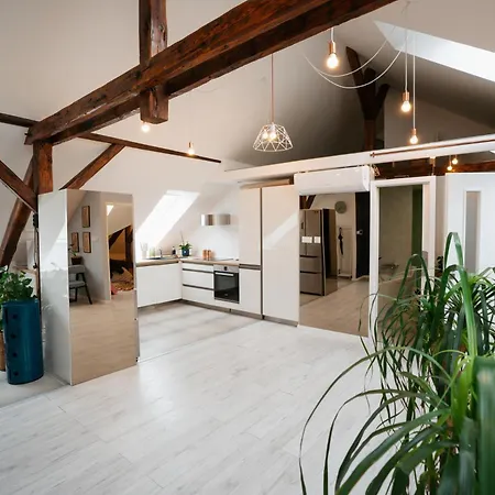 Premium Design Loft - Old Town