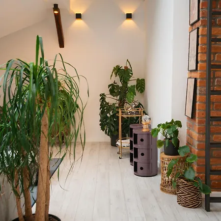 Апартаменты Premium Design Loft - Old Town Кошице