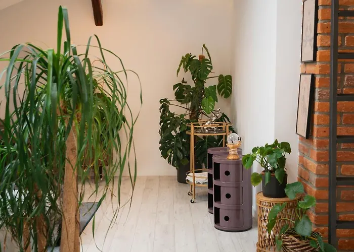 Апартаменты Premium Design Loft - Old Town Кошице